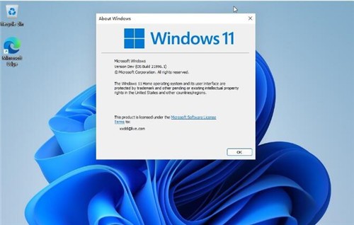 Windows11消费者版 v22000.65