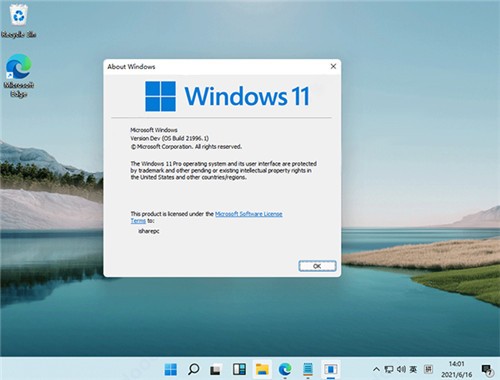 Windows11镜像 v21996.1