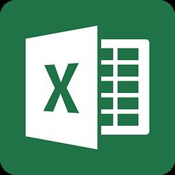 Microsoft Excel2022 v16.0.145