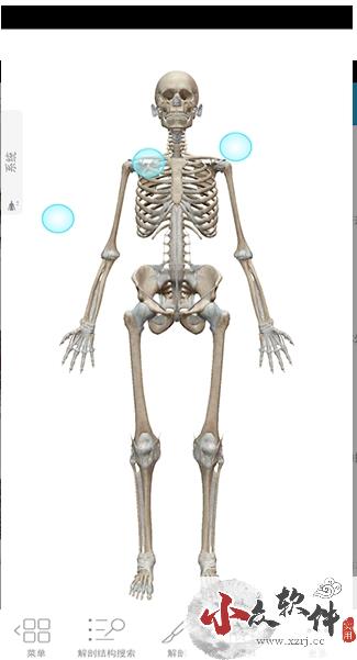 人体解剖学图谱APP