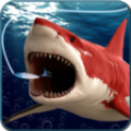 垂钓鲨鱼 v1.0