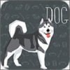 宠物狗交流器 v1.0.2