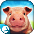 猪猪模拟器之猪的一生 v1.0