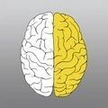 脑洞训练赢在思维 v1.0.2