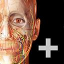 3D人体解剖2023