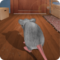 老鼠大冒险 v1.0