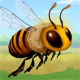 蜜蜂奥德赛 v1.0