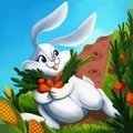 兔子农场奔跑 v1.0