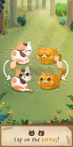 猫咪的秘密森林中文版