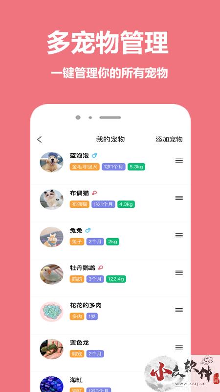 宠物王国APP