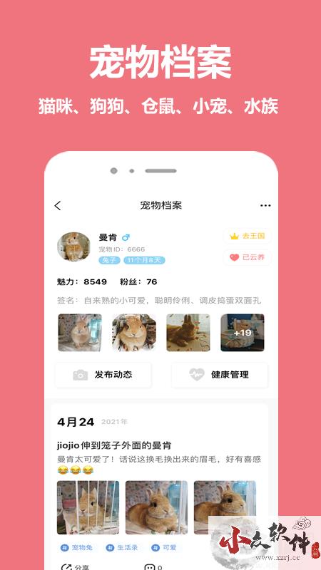 宠物王国APP