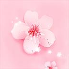 桃花视频 v1.5无广告版